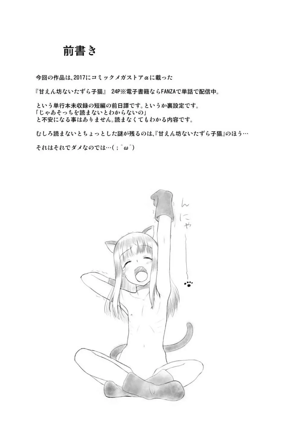 ペットショップの子猫 3ページ