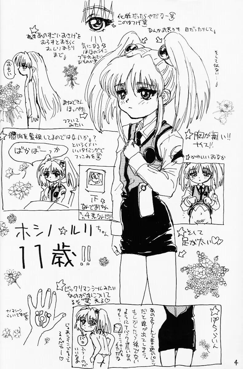 バカって言ってルリちゃん 3ページ