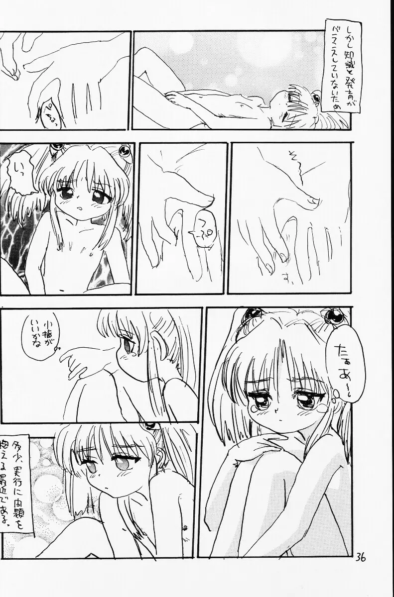 バカって言ってルリちゃん 35ページ