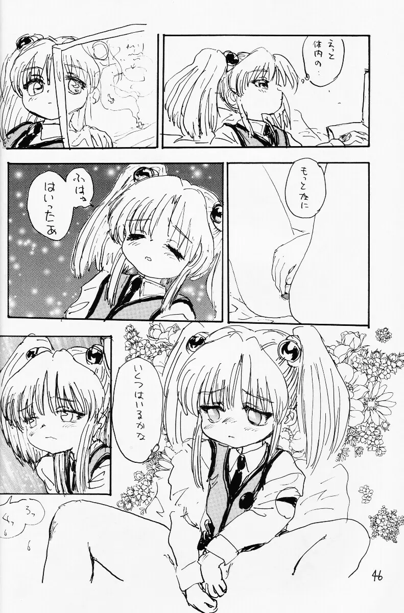 バカって言ってルリちゃん 45ページ