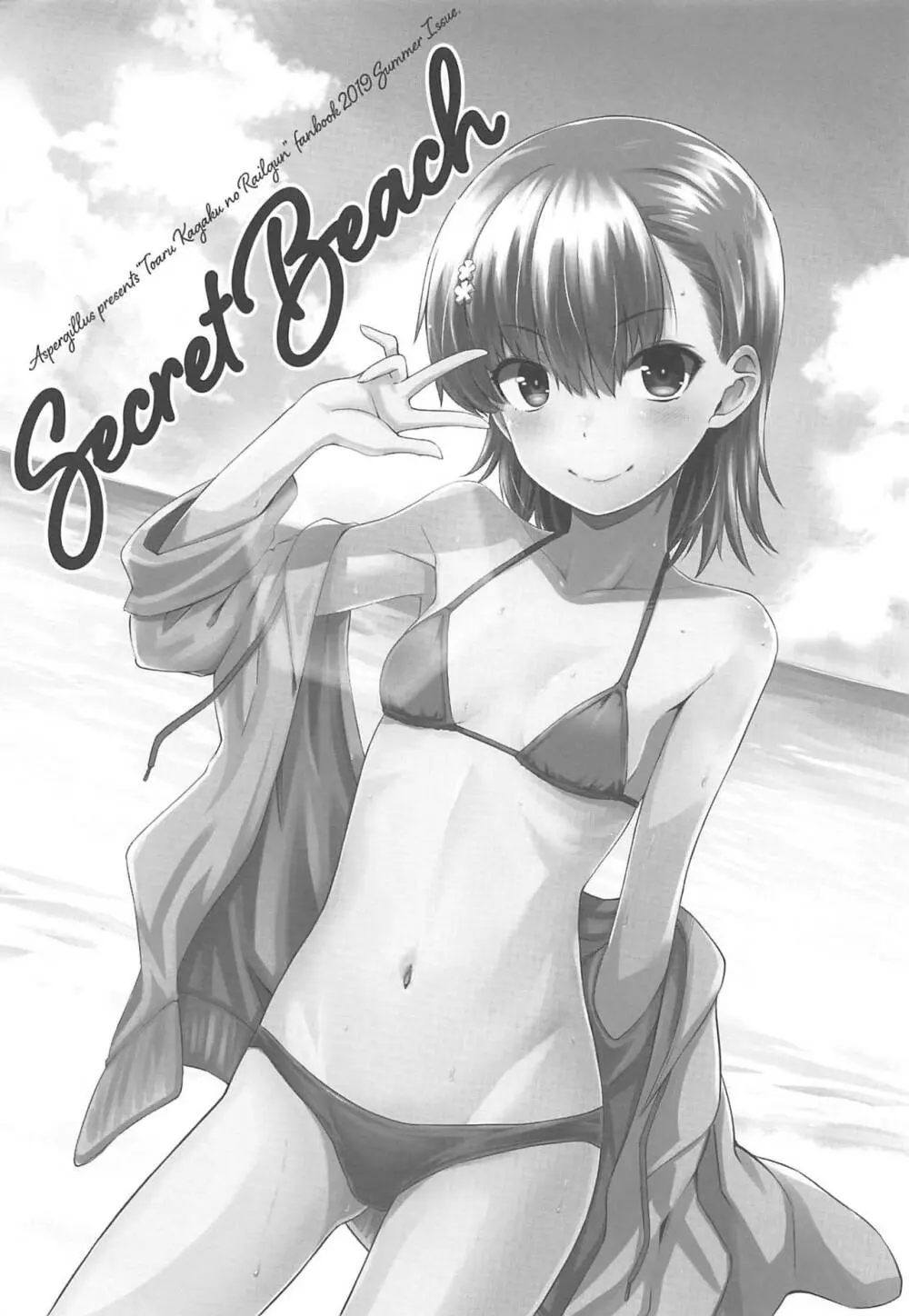 Secret Beach 2ページ