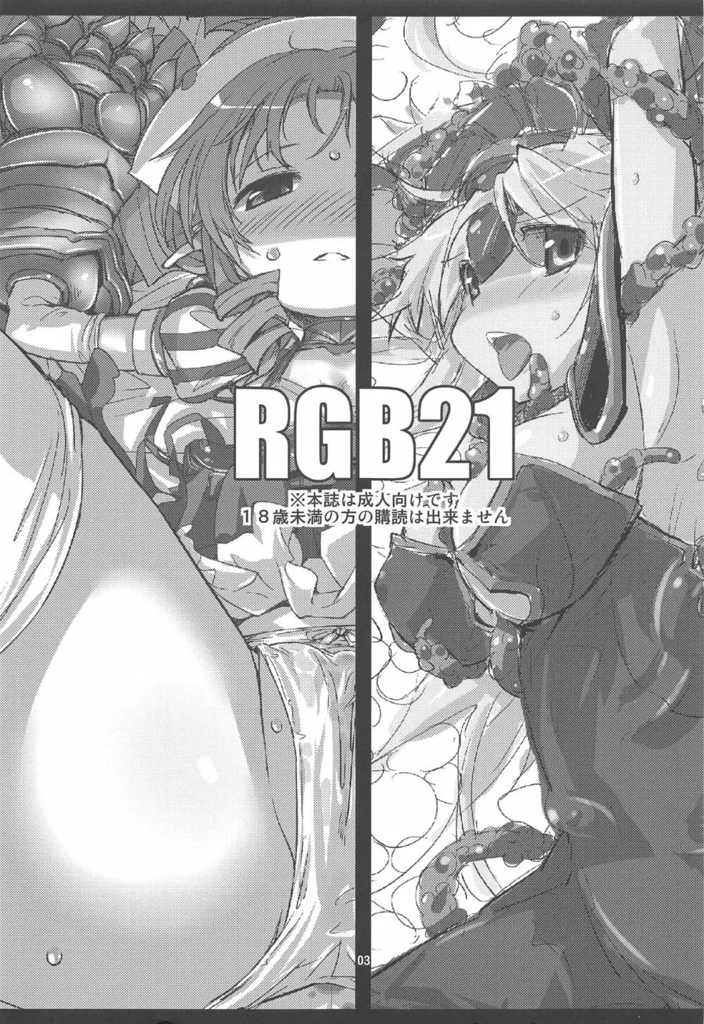 RGB21 2ページ