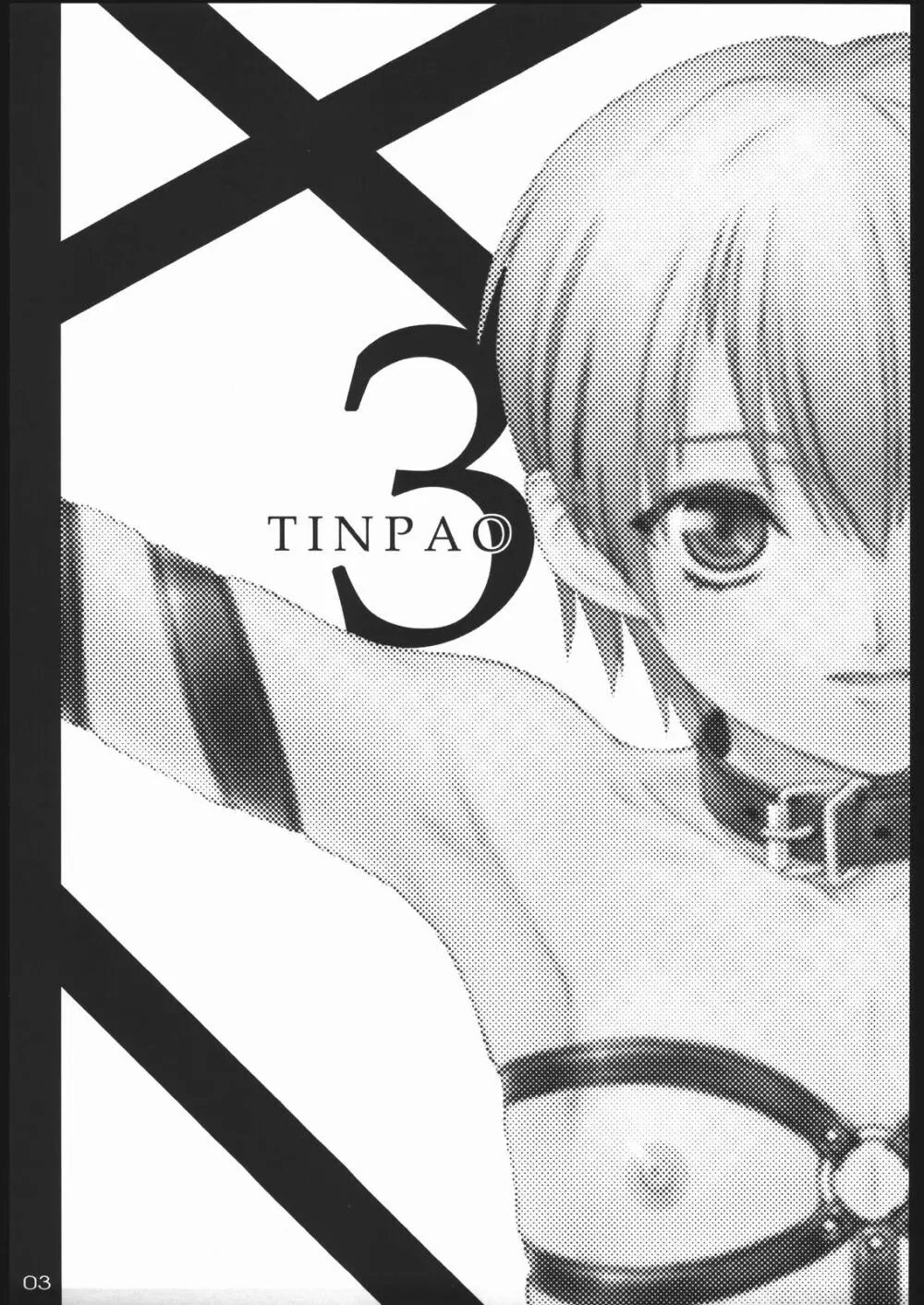 TINPAO3 2ページ