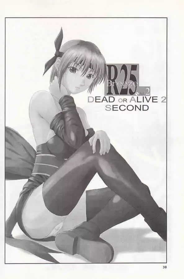 R25 Vol.2 DoA2 SECOND 29ページ