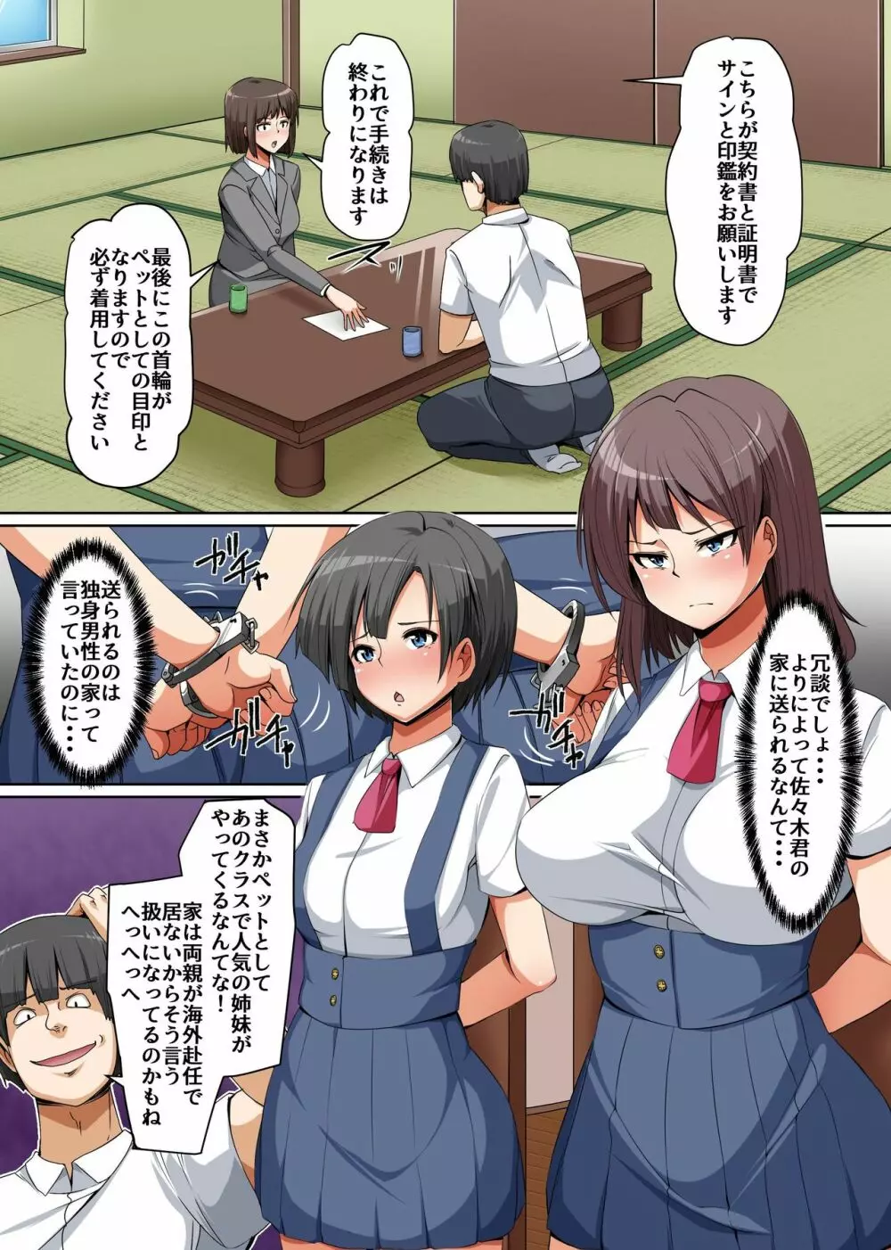 ペットとして配給された姉妹～学園のアイドル巨乳姉妹を飼育して性処理ペットとして徹底調教!～ 3ページ