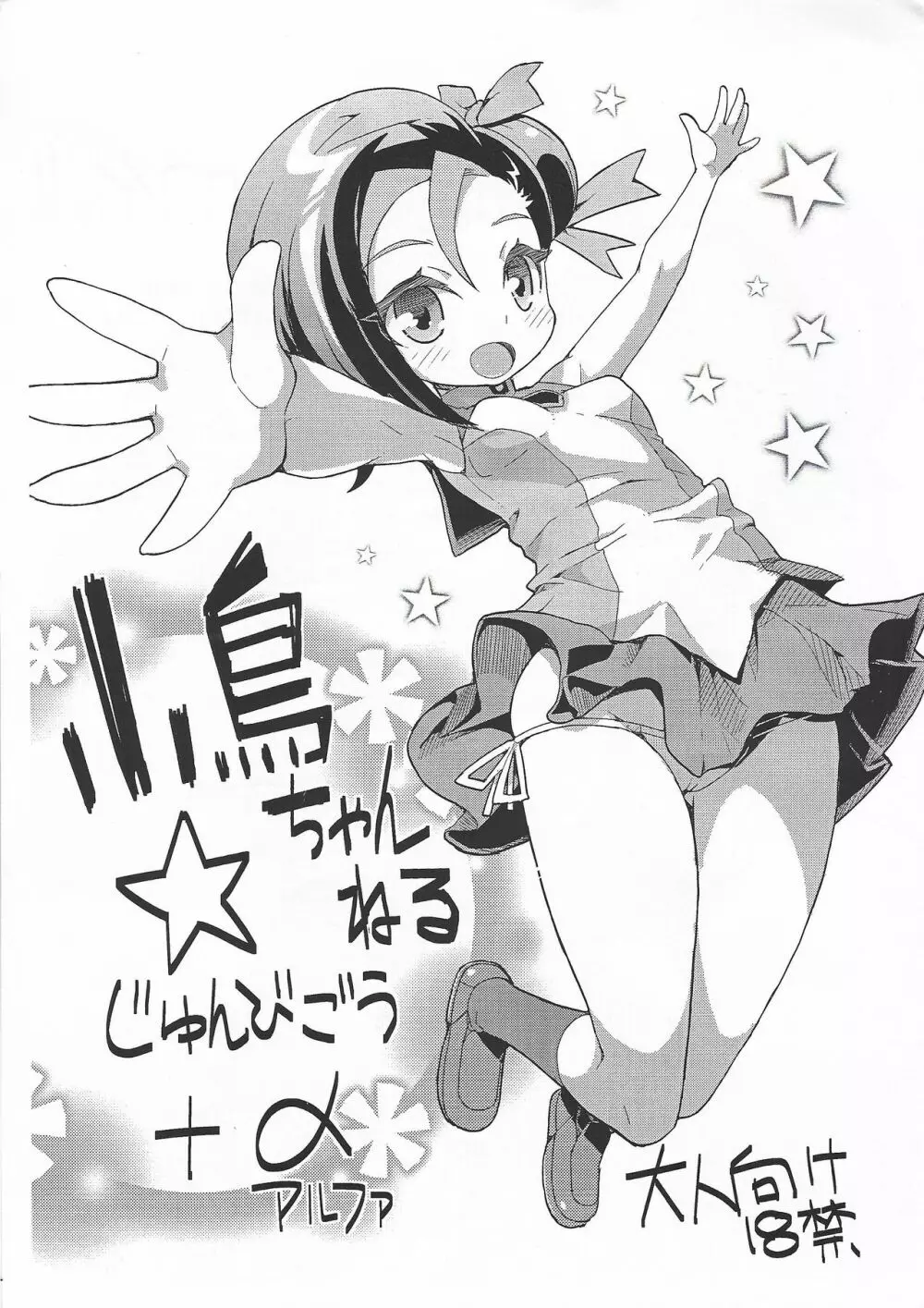 小鳥ちゃんねる☆じゅんびごう+α