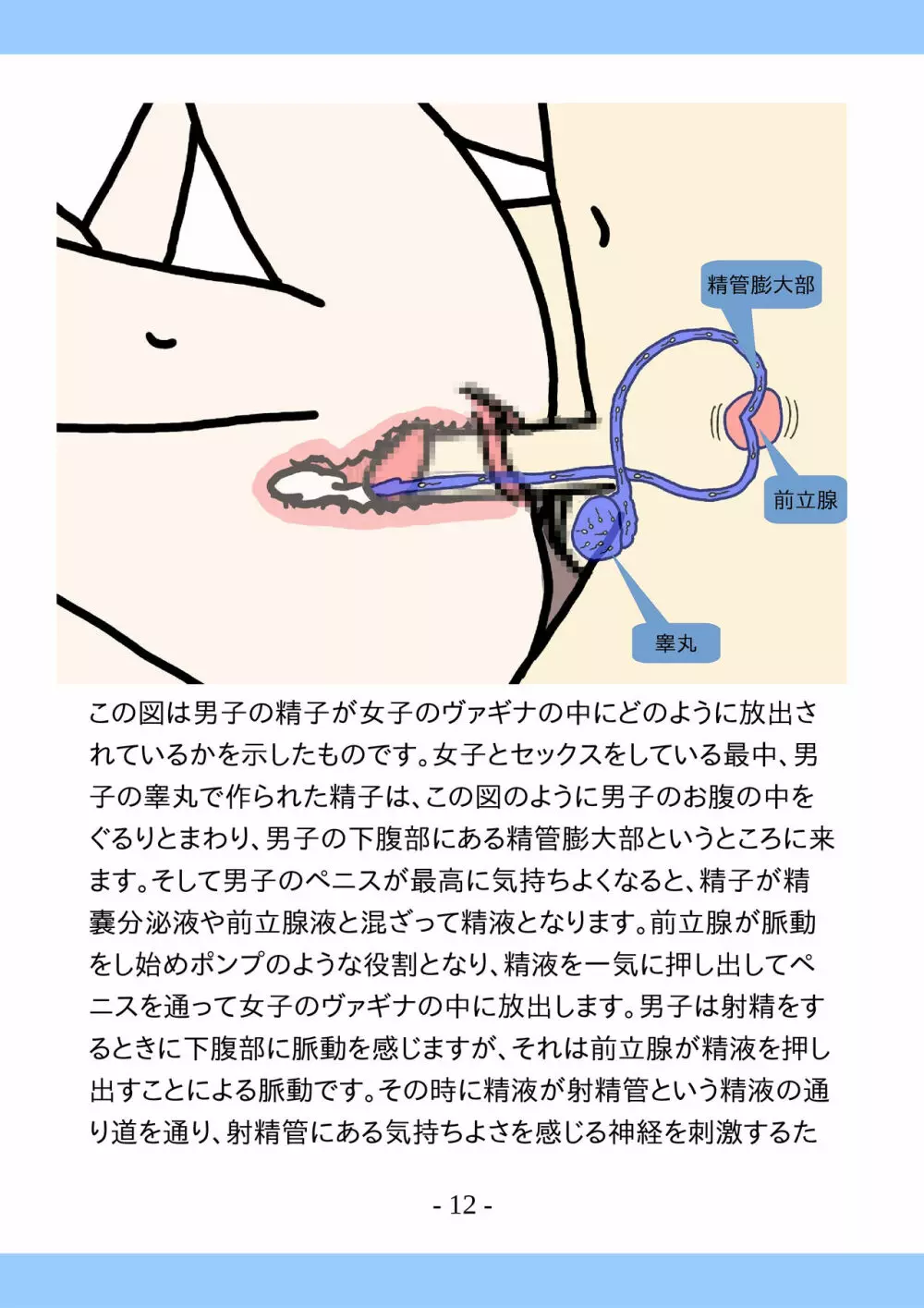 思春期のためのとっても気持ちいいセックスのおはなし 12ページ