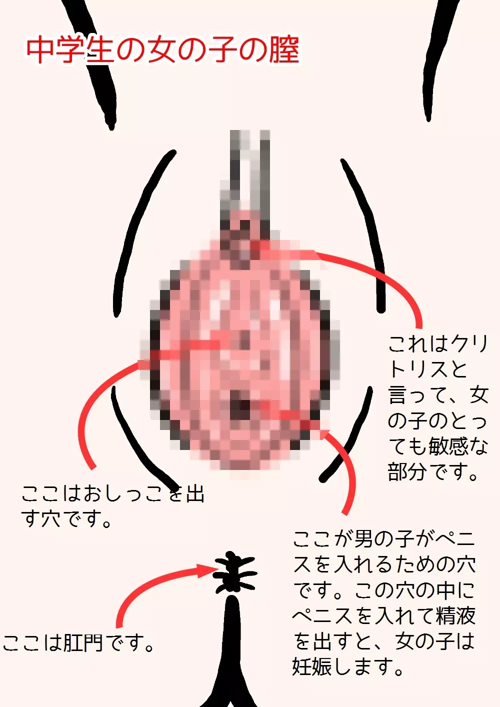 思春期の男の子のための性教育・女の子を妊娠させるための中出しセックス入門 11ページ