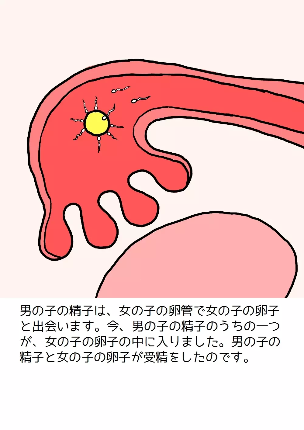 思春期の男の子のための性教育・女の子を妊娠させるための中出しセックス入門 60ページ