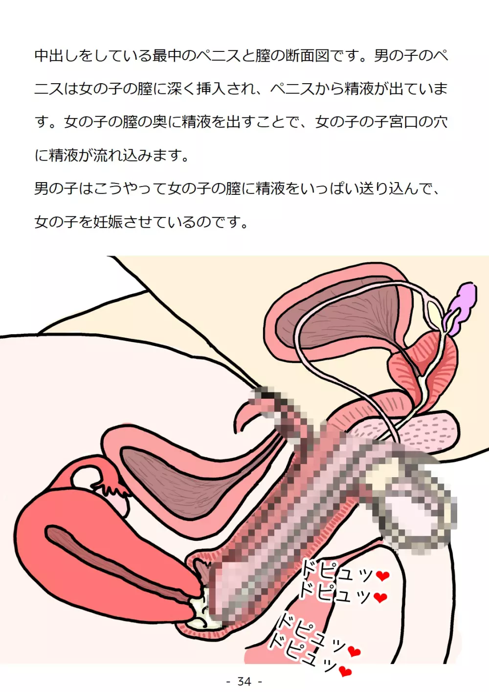 思春期の男の子のための性教育・同級生の女の子とセックスをして赤ちゃんを作るおはなし 34ページ