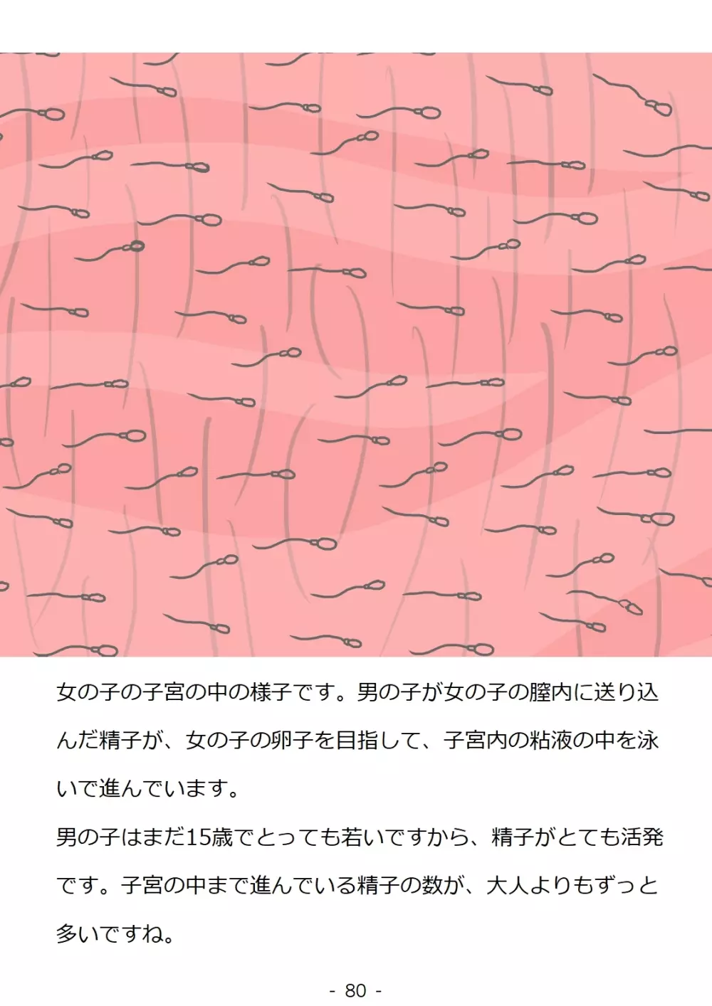 思春期の男の子のための性教育・同級生の女の子とセックスをして赤ちゃんを作るおはなし 80ページ