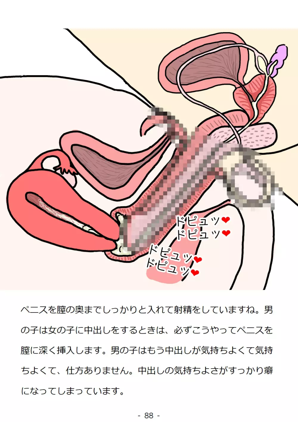 思春期の男の子のための性教育・同級生の女の子とセックスをして赤ちゃんを作るおはなし 88ページ