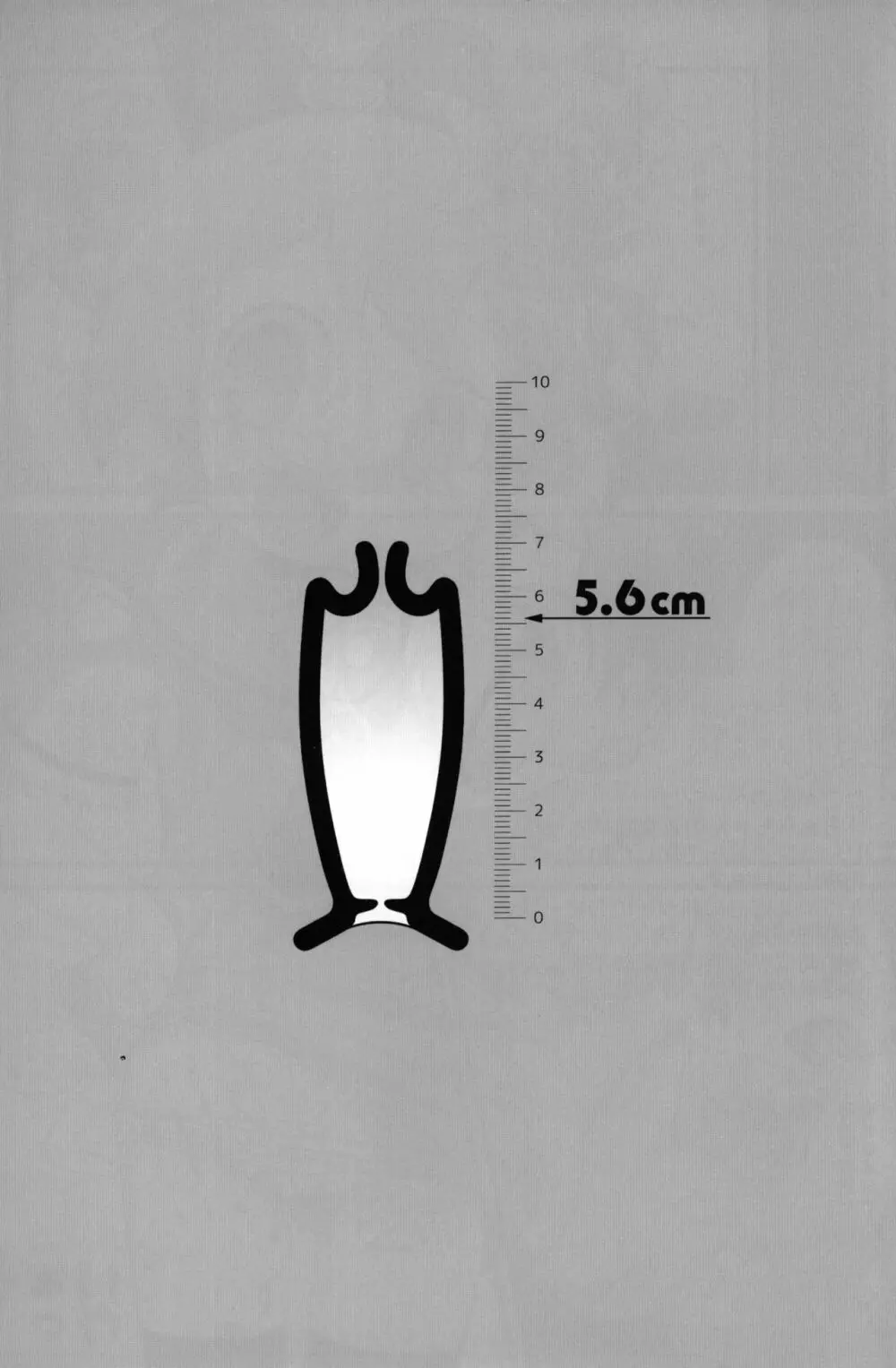 5.6cm 26ページ