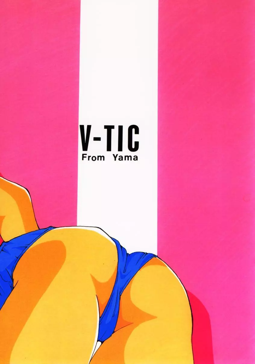 V-TIC 11 2ページ