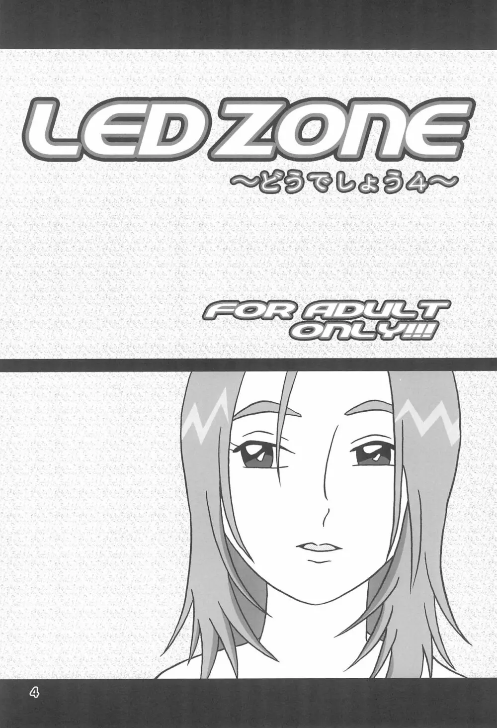 LED ZONE どうでしょう 4 4ページ