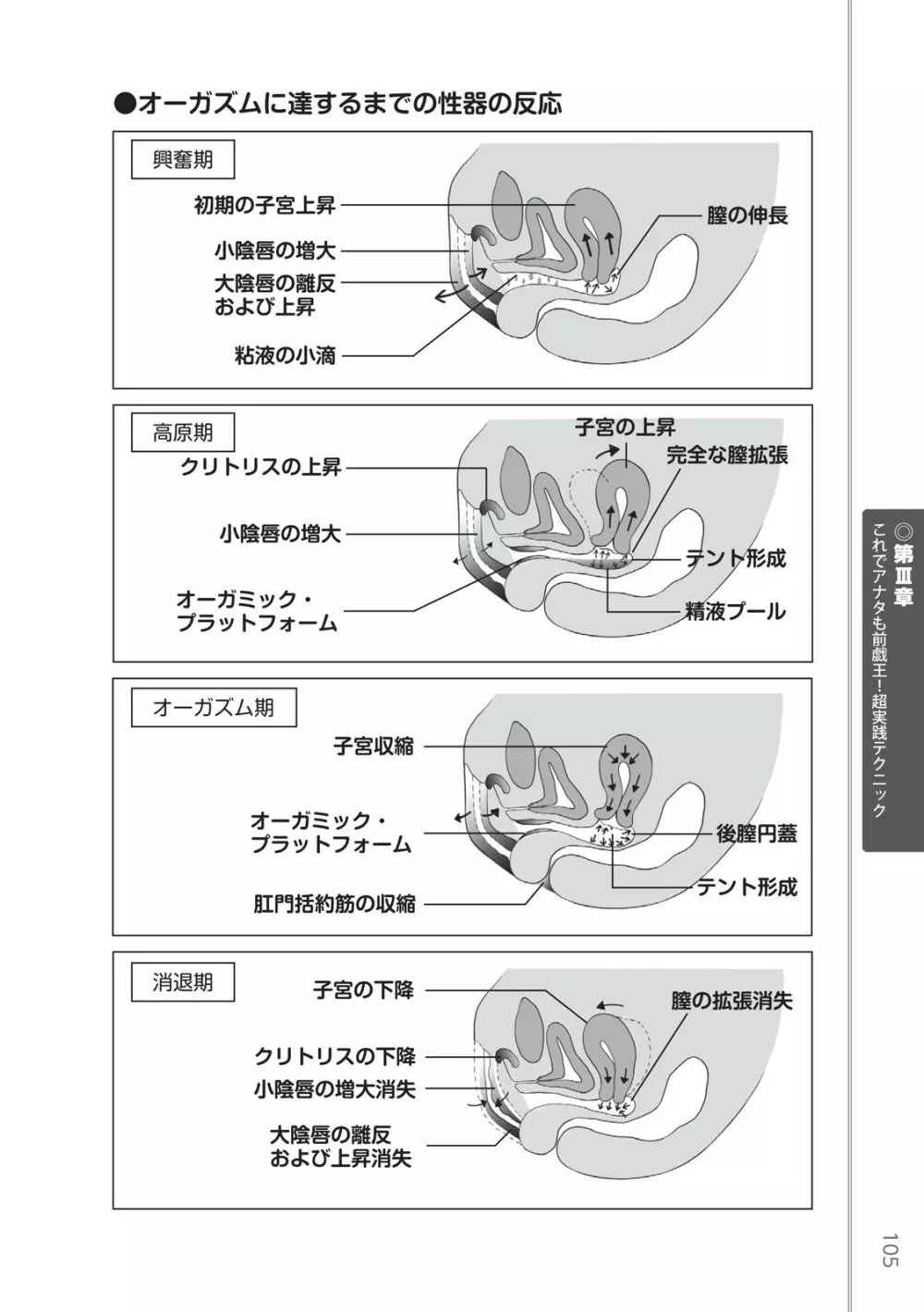 前戯王 挿入より大事な性感のトリセツ 107ページ