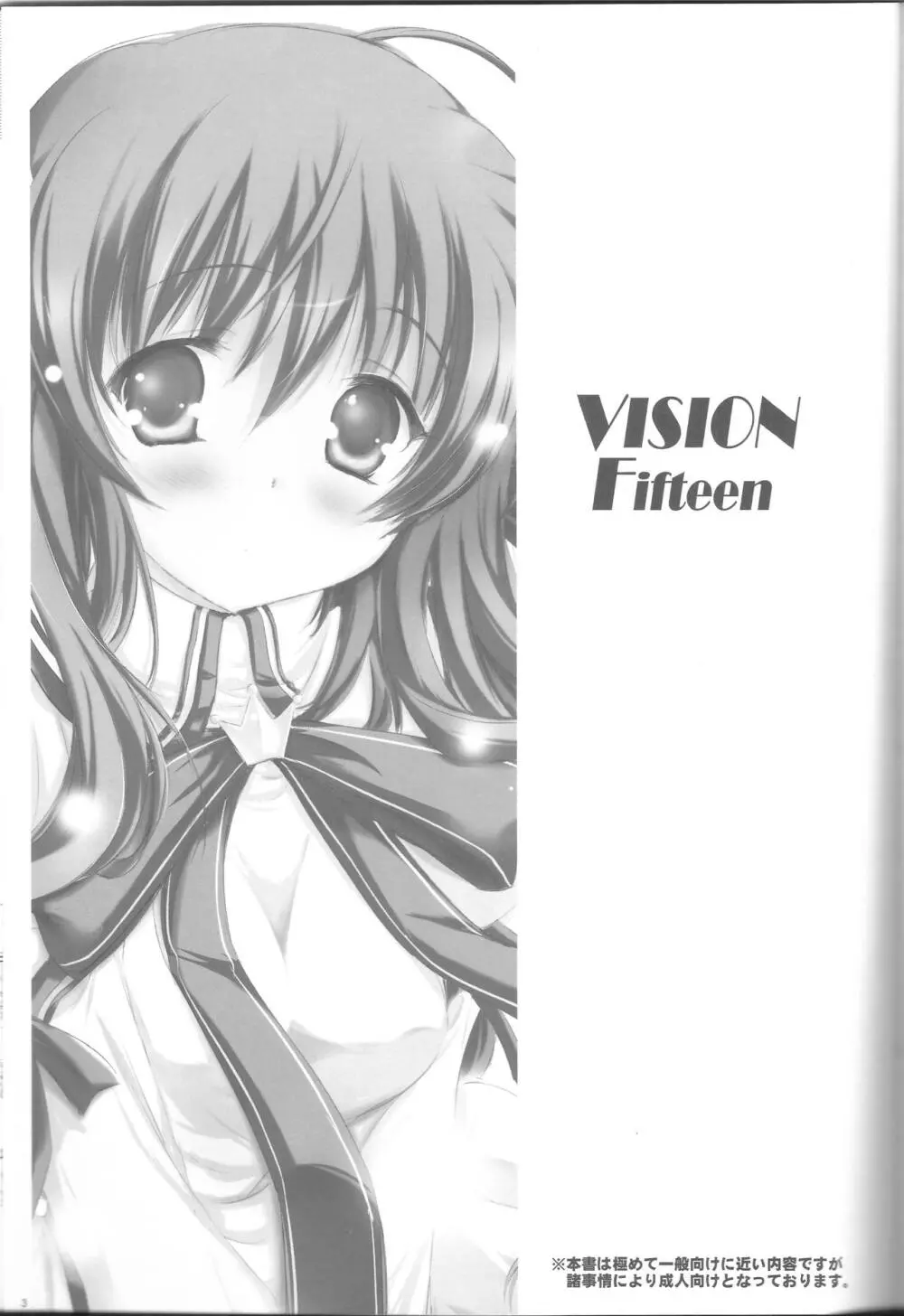 VISION Fifteen 2ページ