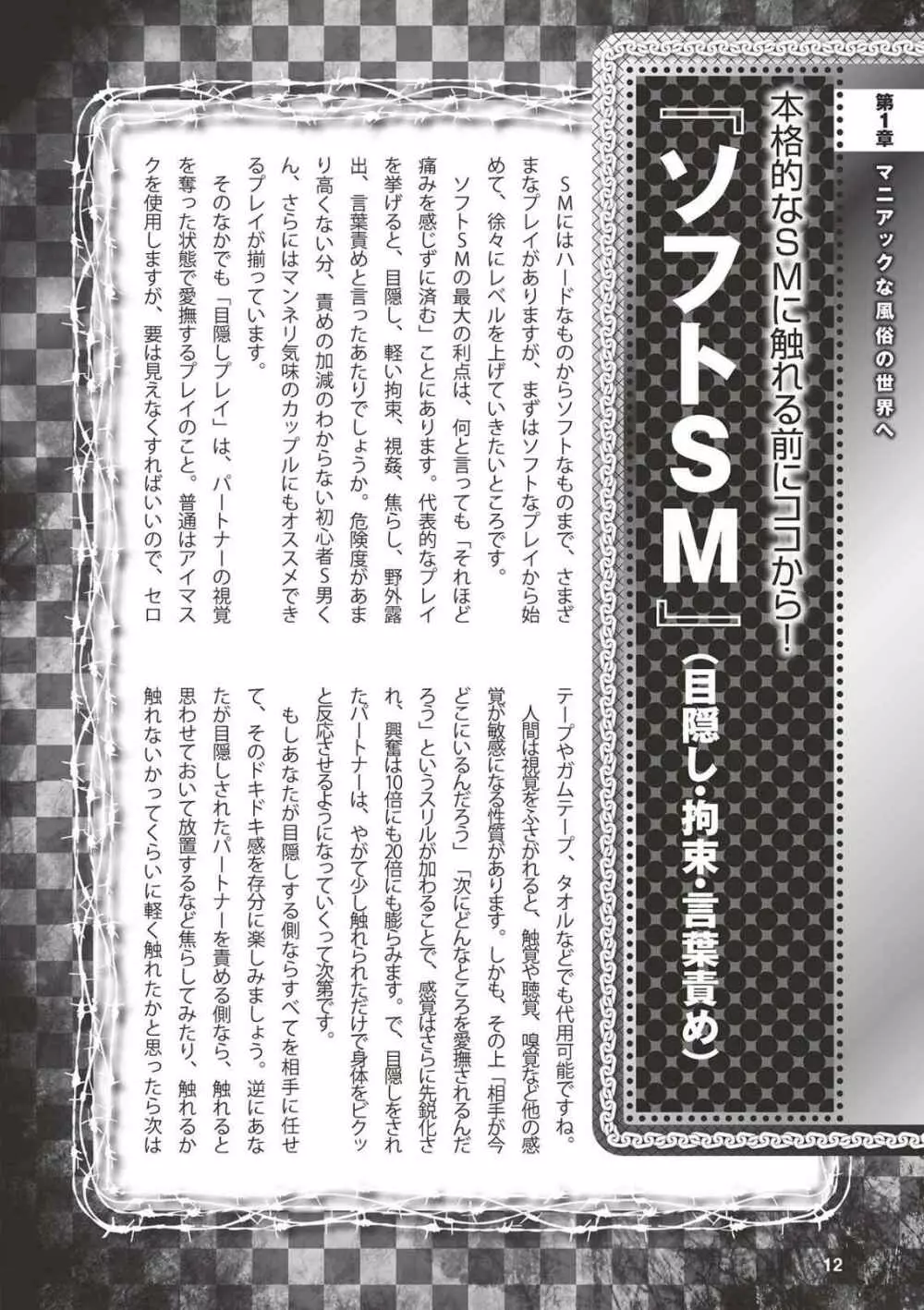 アブノーマル風俗入門 ラブドール風俗から、1000万円の風俗嬢まで 14ページ