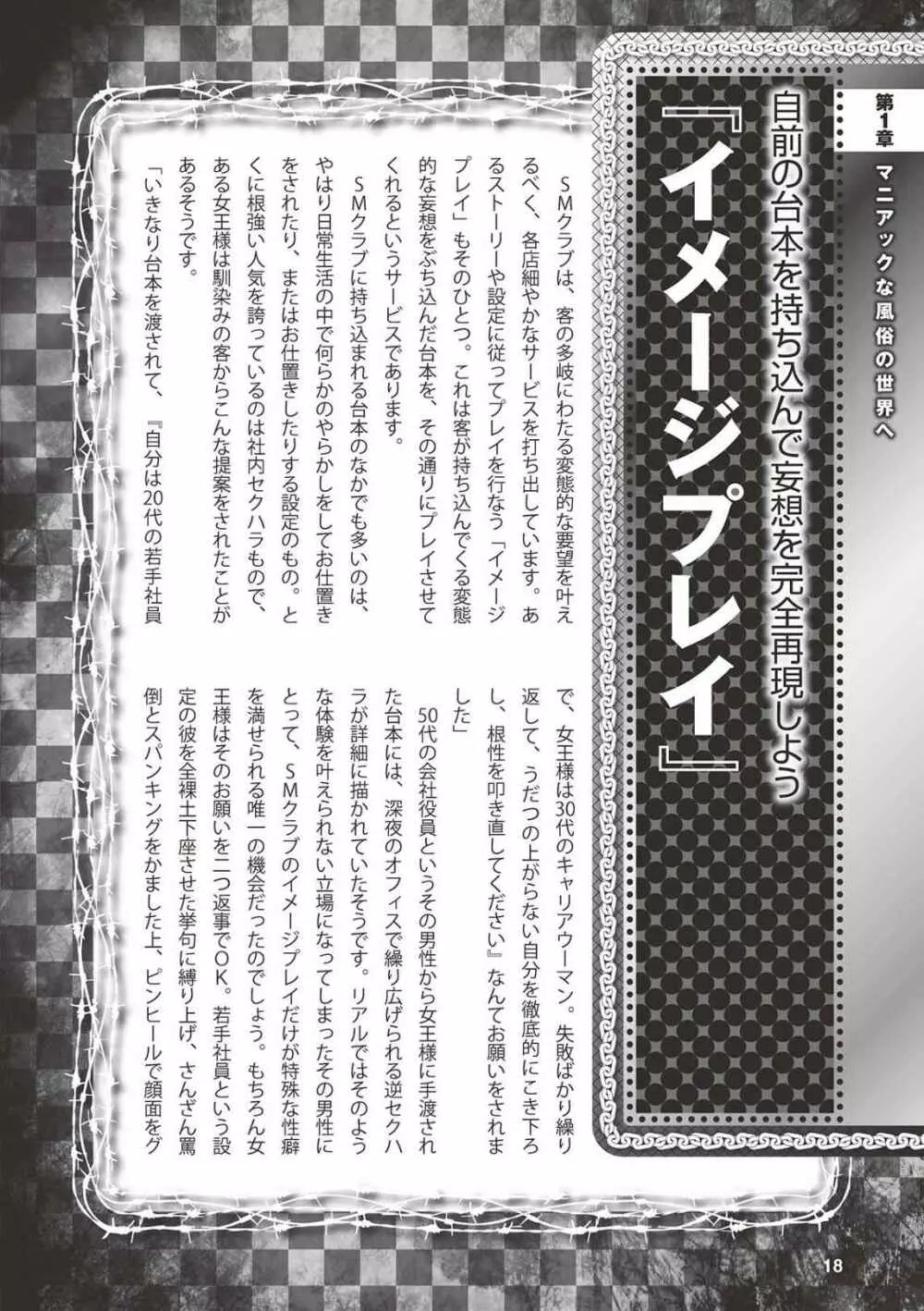 アブノーマル風俗入門 ラブドール風俗から、1000万円の風俗嬢まで 20ページ