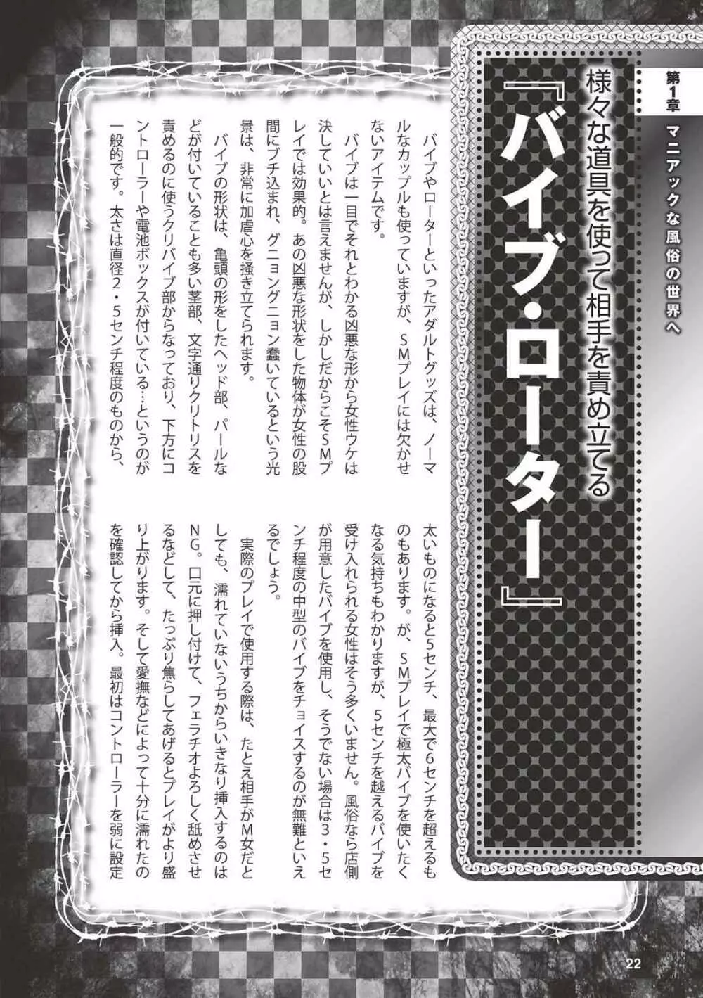 アブノーマル風俗入門 ラブドール風俗から、1000万円の風俗嬢まで 24ページ