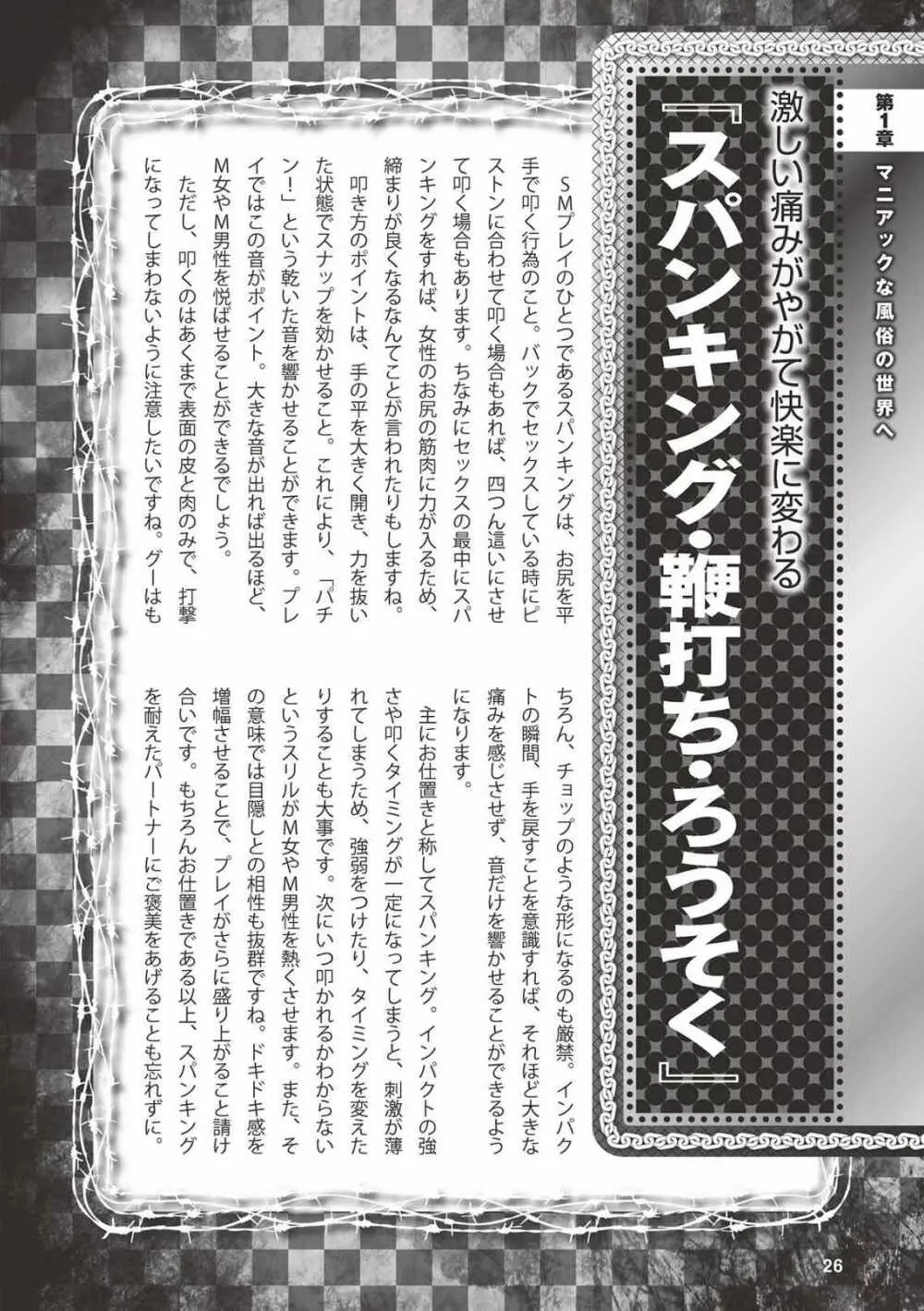 アブノーマル風俗入門 ラブドール風俗から、1000万円の風俗嬢まで 28ページ