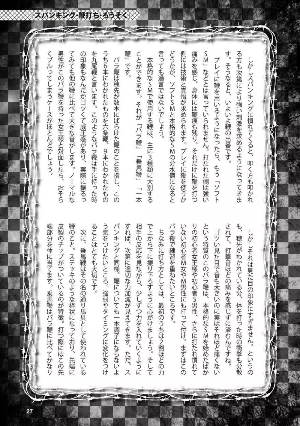 アブノーマル風俗入門 ラブドール風俗から、1000万円の風俗嬢まで 29ページ