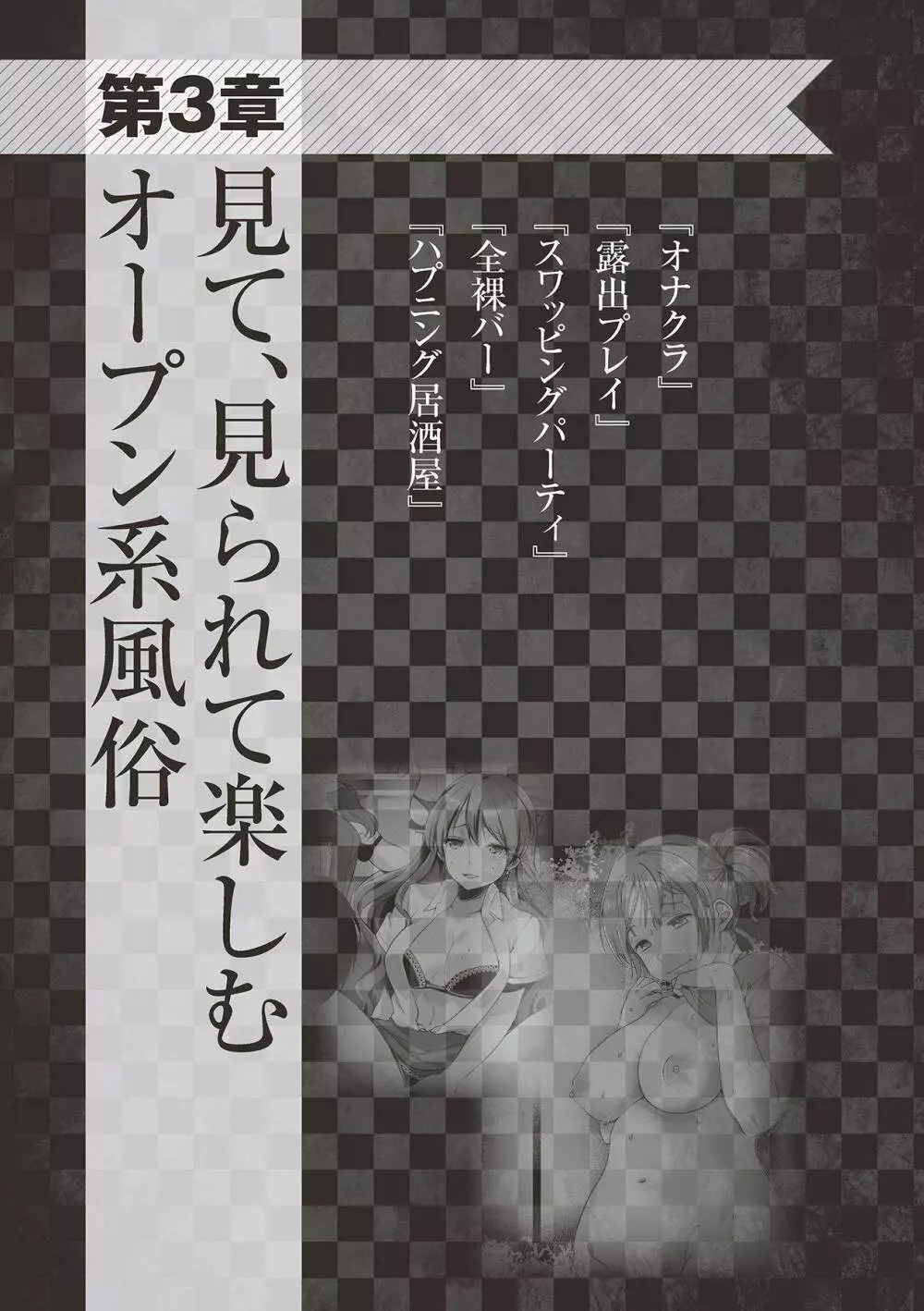 アブノーマル風俗入門 ラブドール風俗から、1000万円の風俗嬢まで 59ページ