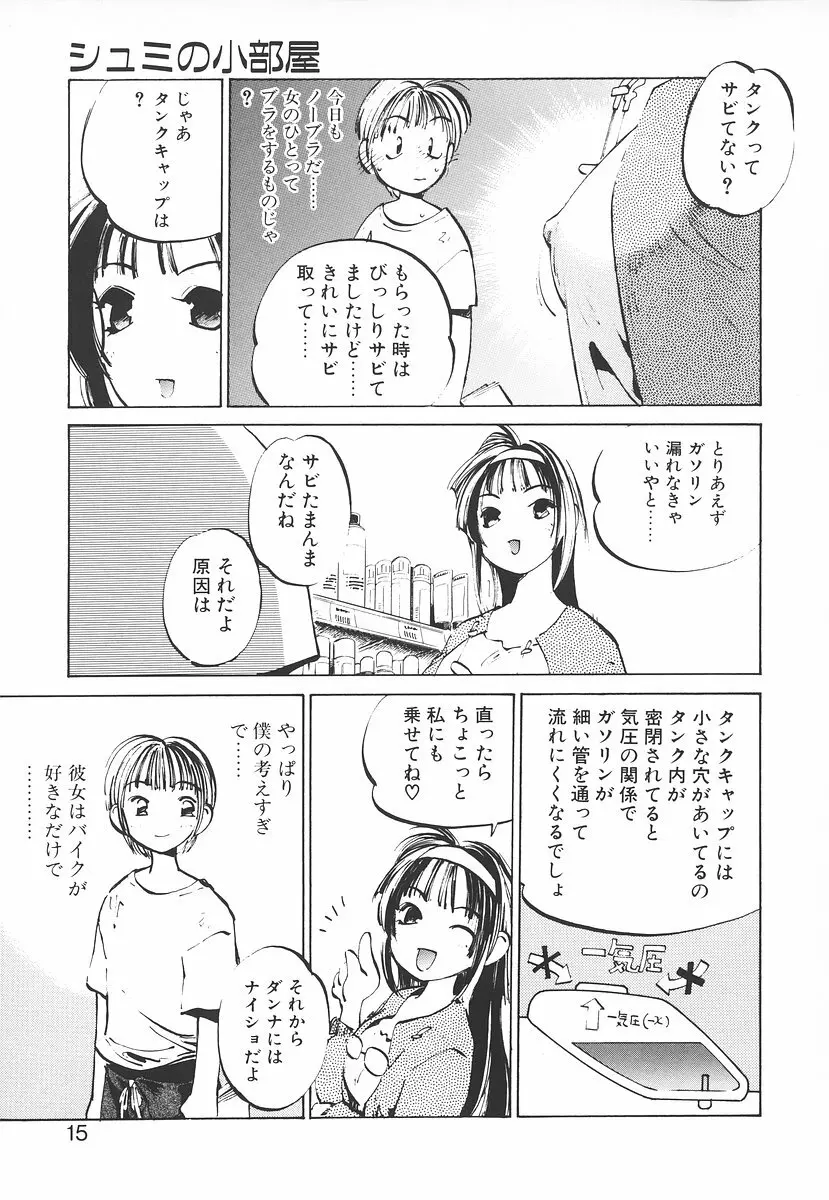 シュミの小部屋 15ページ