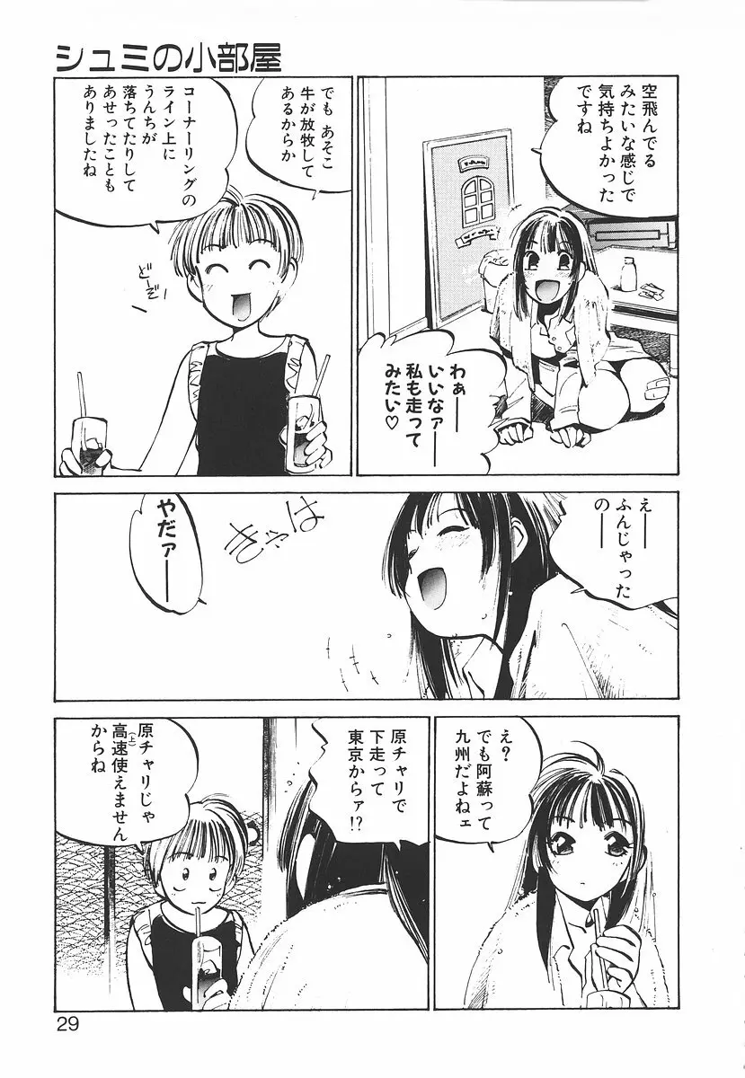 シュミの小部屋 29ページ