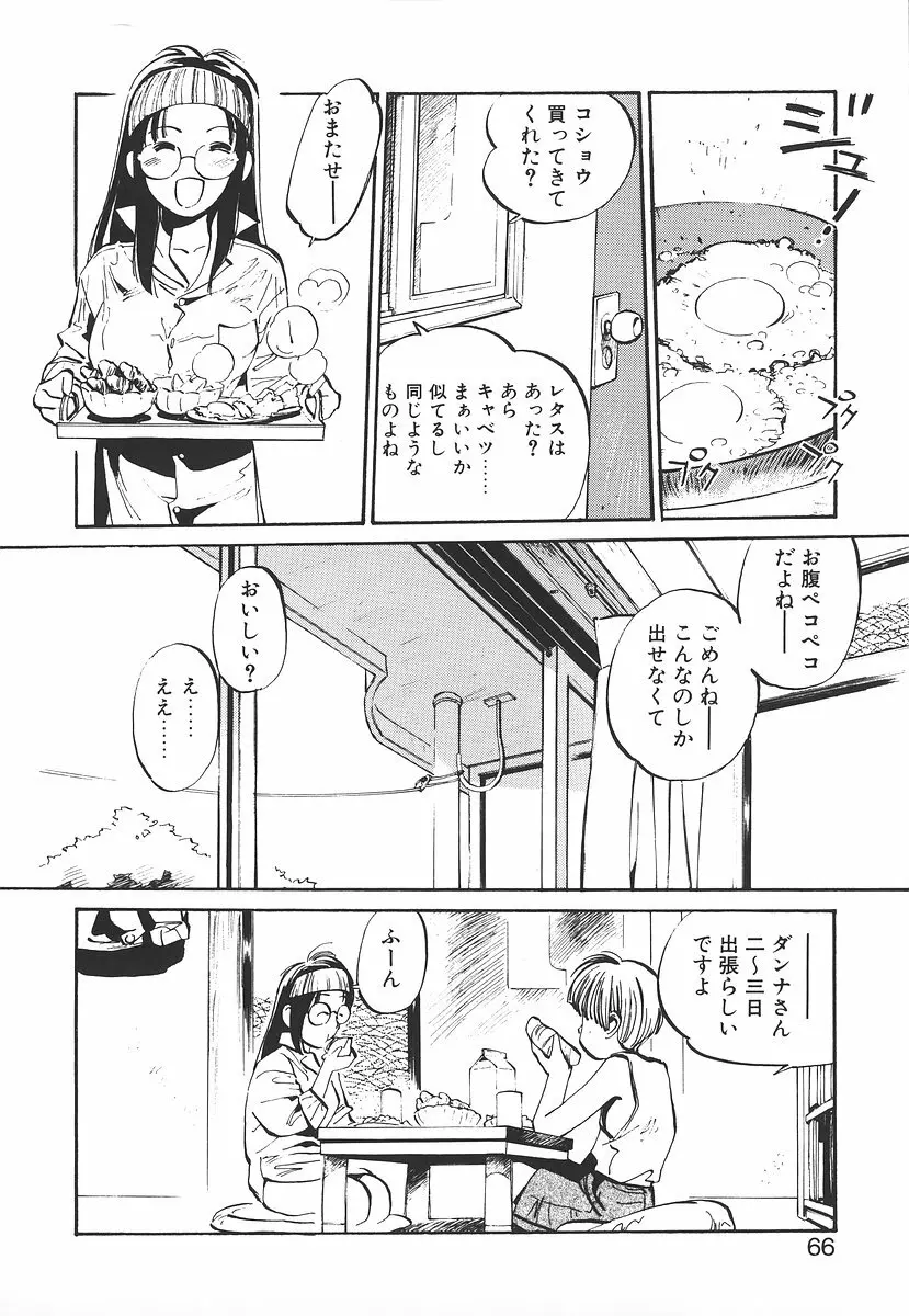 シュミの小部屋 66ページ