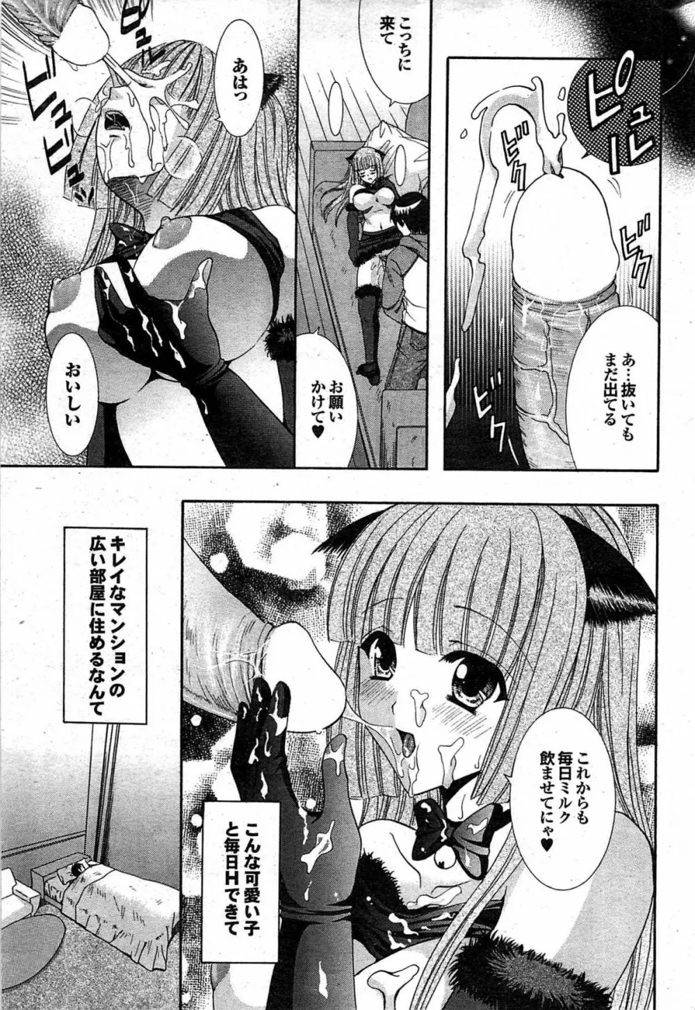 COMIC プルメロ 2008年02月号 vol.14 176ページ