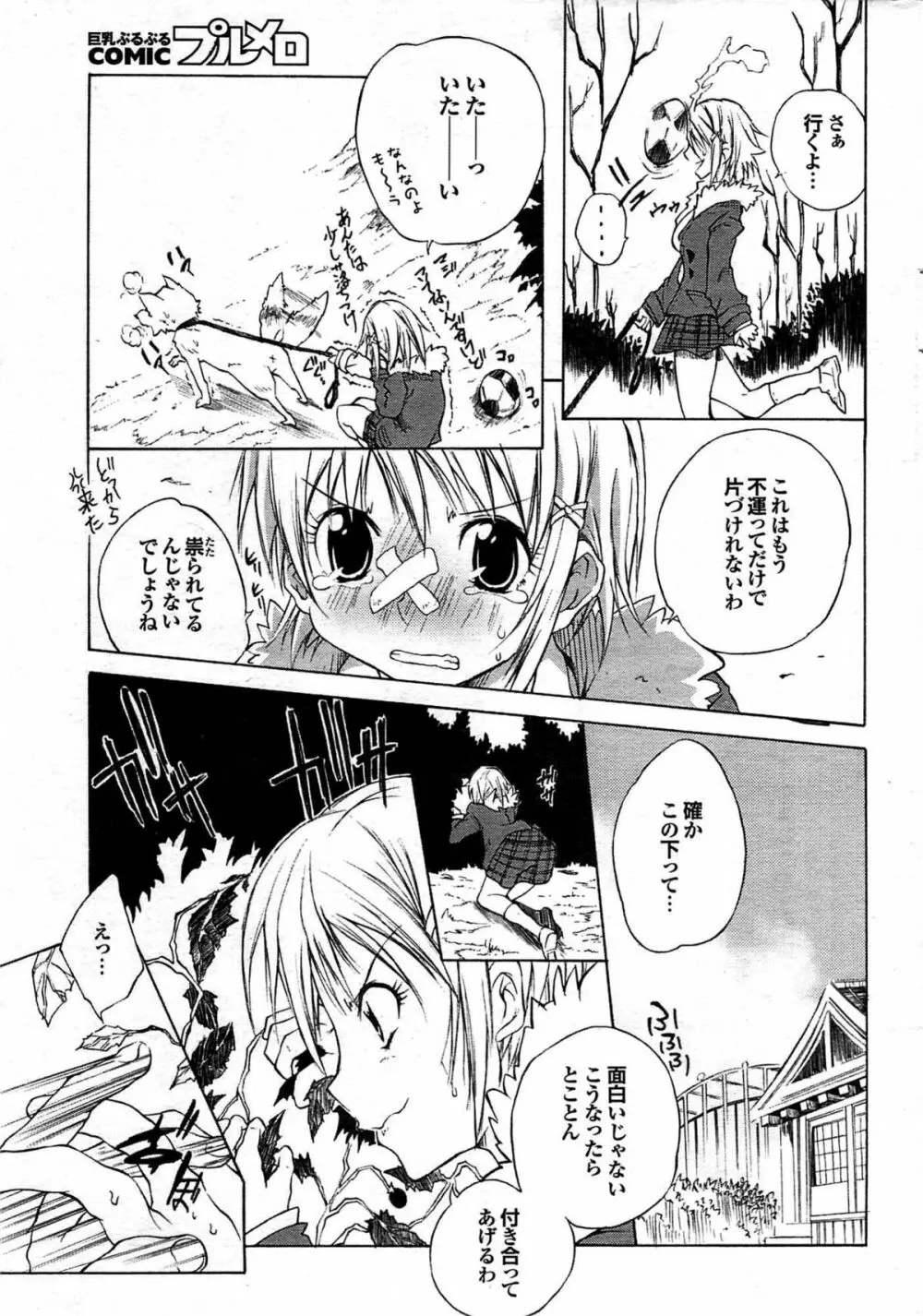 COMIC プルメロ 2008年03月号 vol.15 27ページ