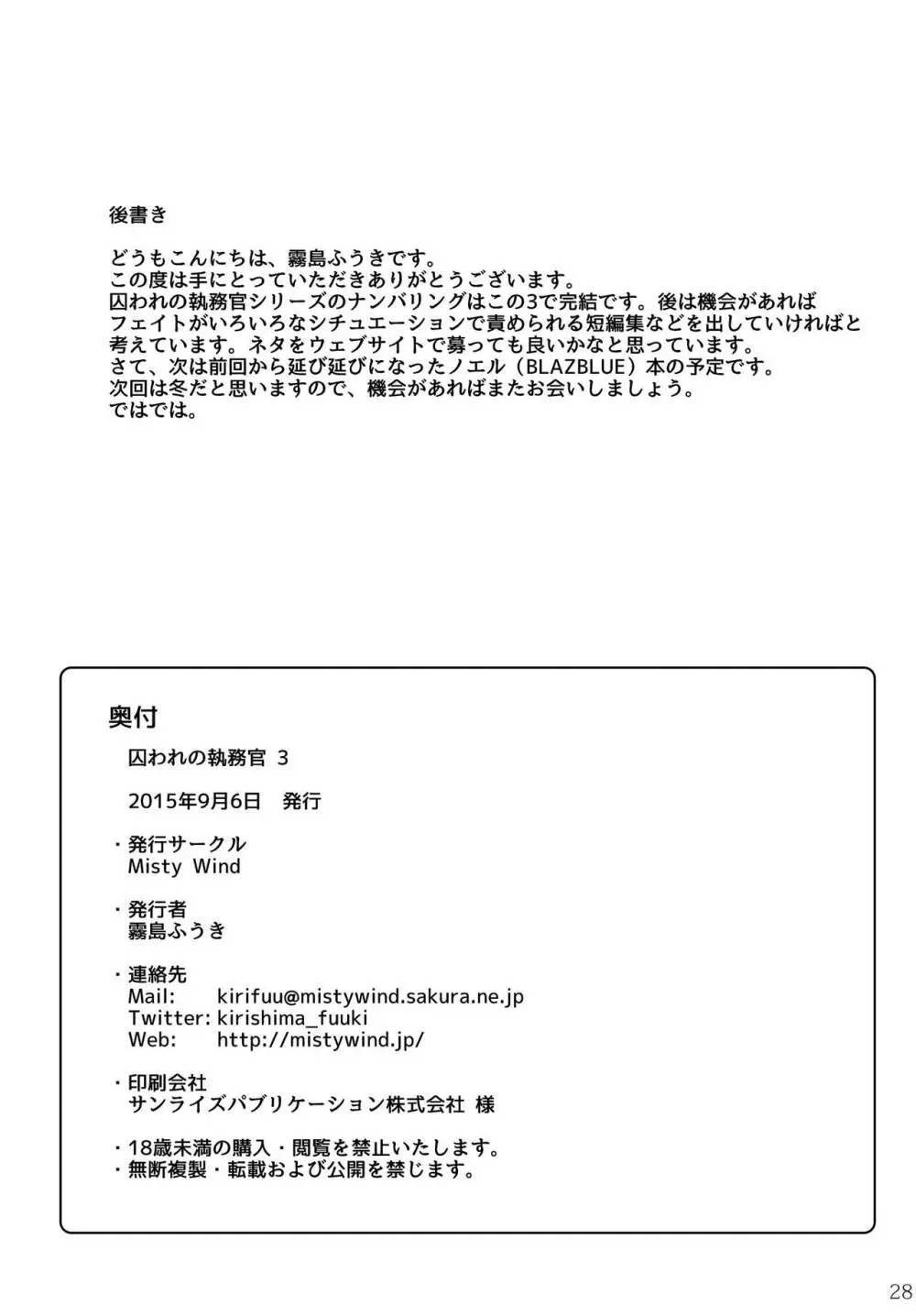 囚われの執務官 3 29ページ