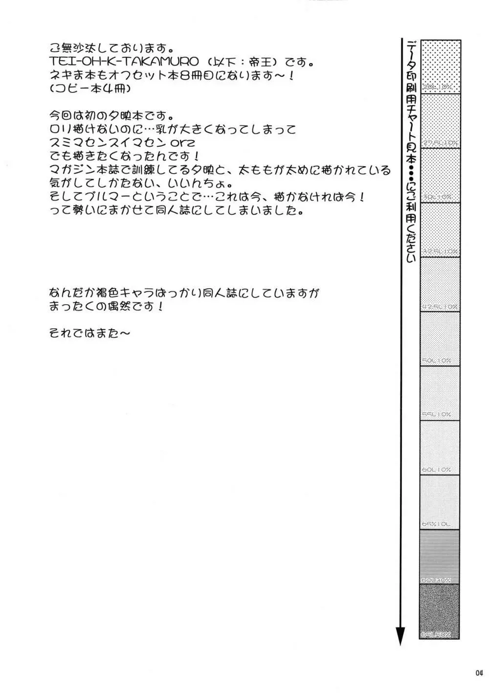 C.C.Bloomer 4ページ