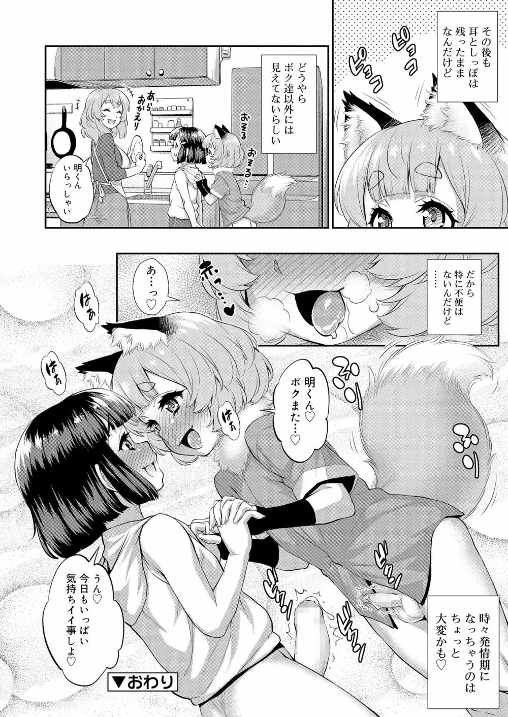 好色少年 vol.14 275ページ