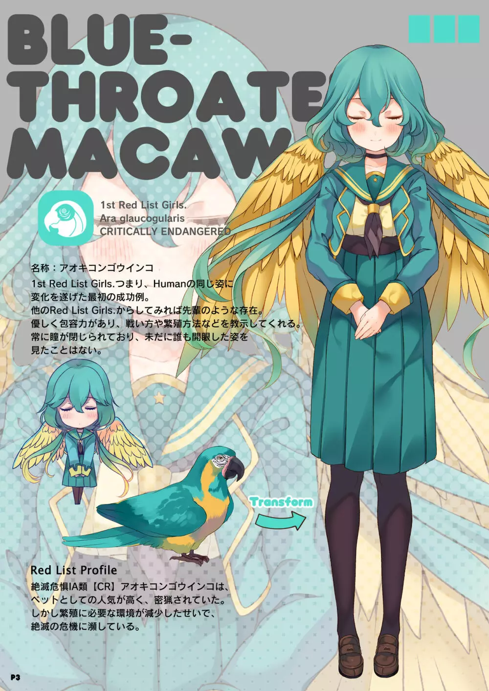 MACAW;EDUCATION 3ページ