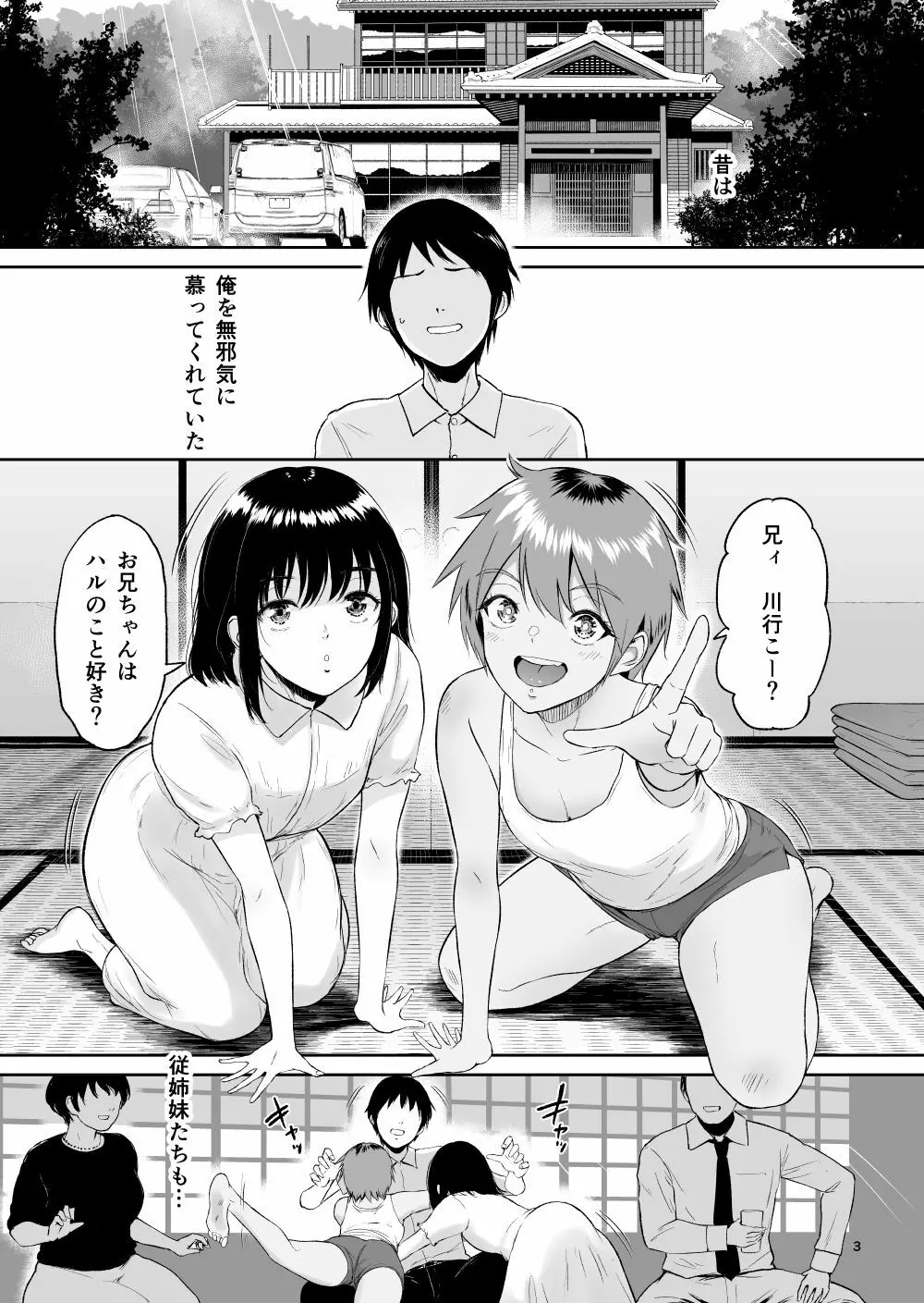 いとことー田舎で再会したむちむち娘二人との種付け交尾記録 2ページ