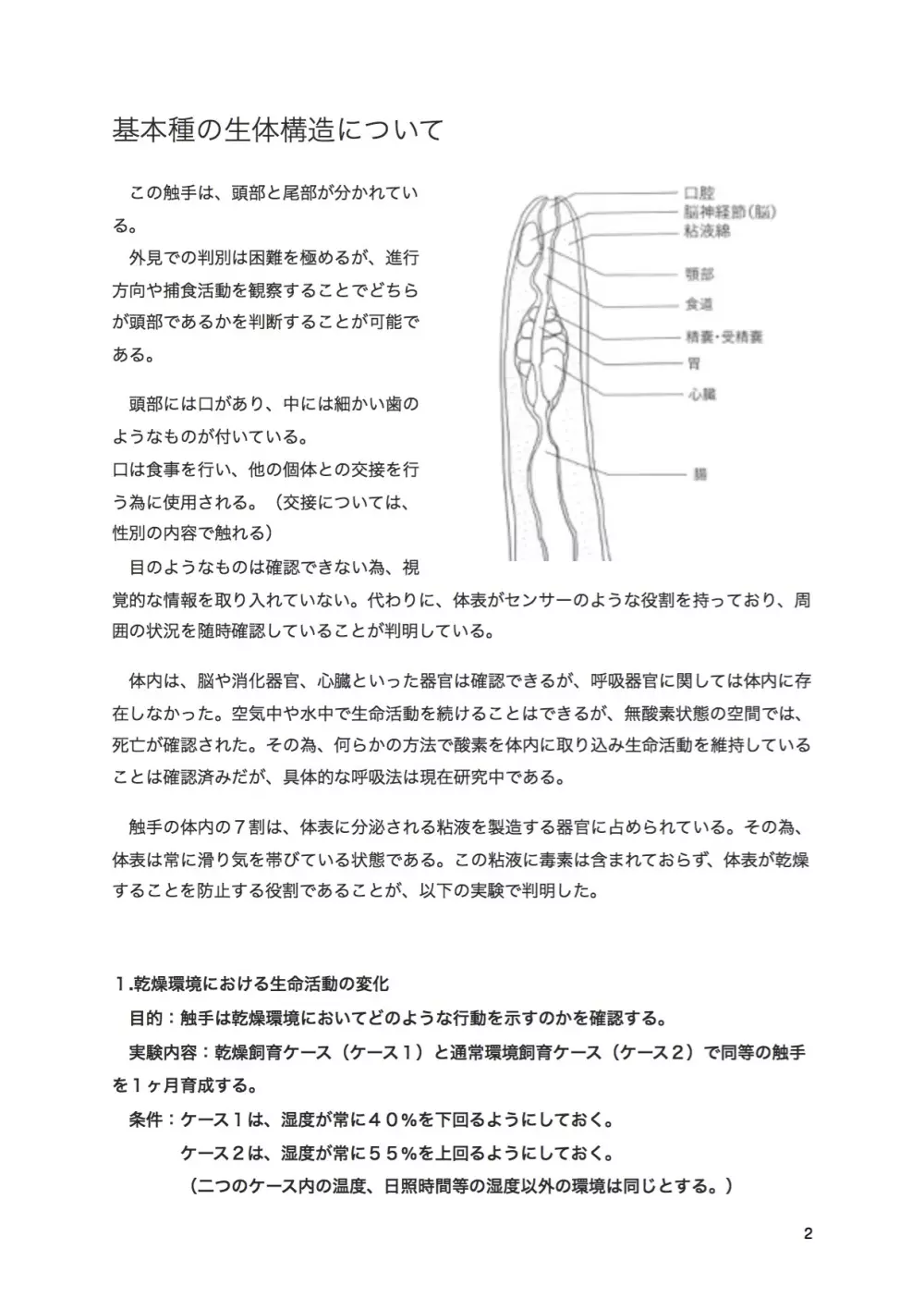 触手研究レポート 体内寄生型 基本種 5ページ