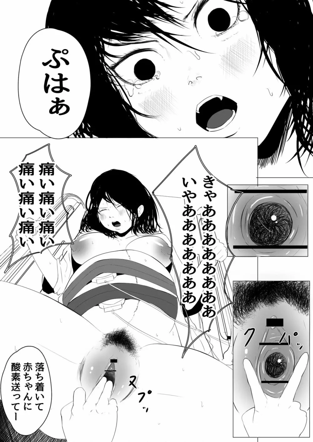 【犬式】 病院出産のススメ 33ページ