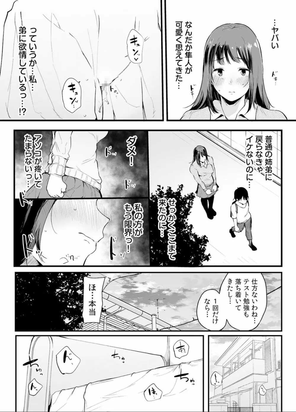 弟にエロ漫画と同じ事をされちゃうお姉ちゃんの話 2 45ページ