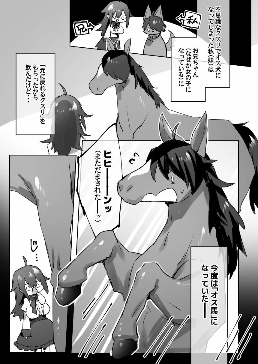 オス馬になった妹と女体化した兄がなんかする漫画 2ページ