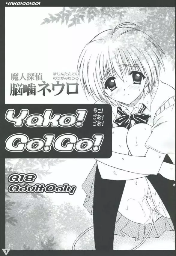 Yako GoGo 3ページ