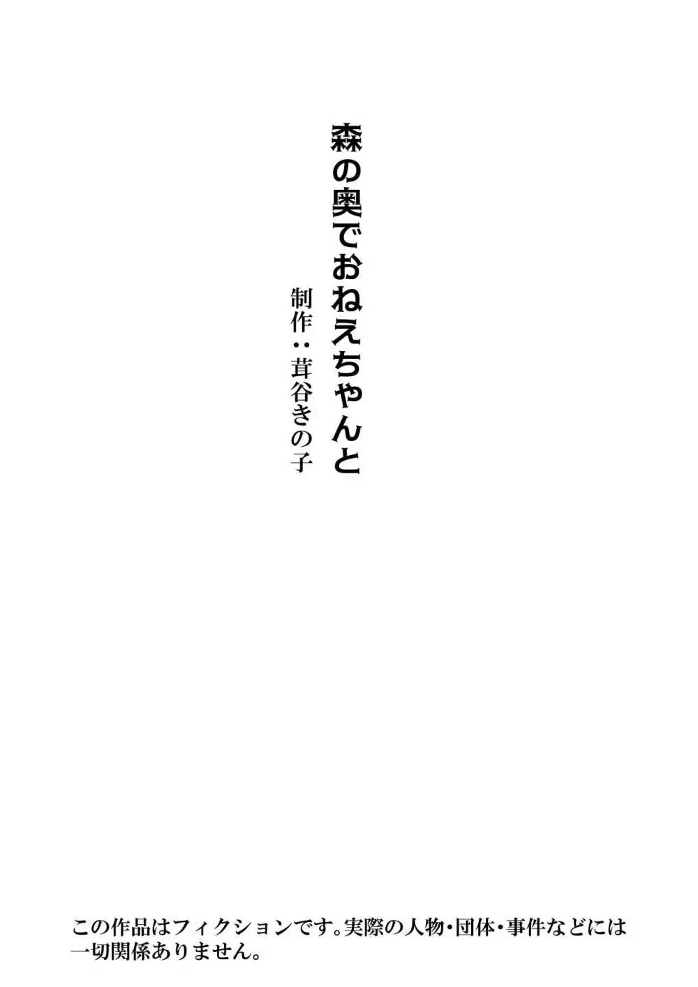 森の奥でおねえちゃんと 2ページ