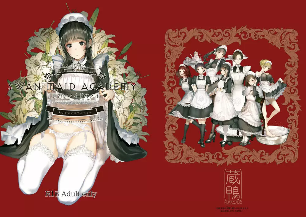 SWAN MAID ACADEMY