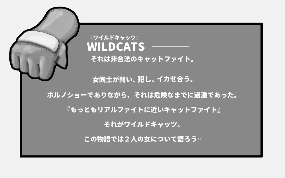 WILDCATS ～ふたなり地下バトル 4ページ