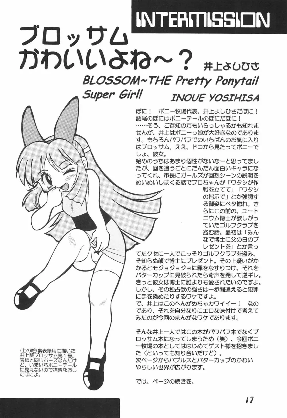 The Power Puff Pony 17ページ