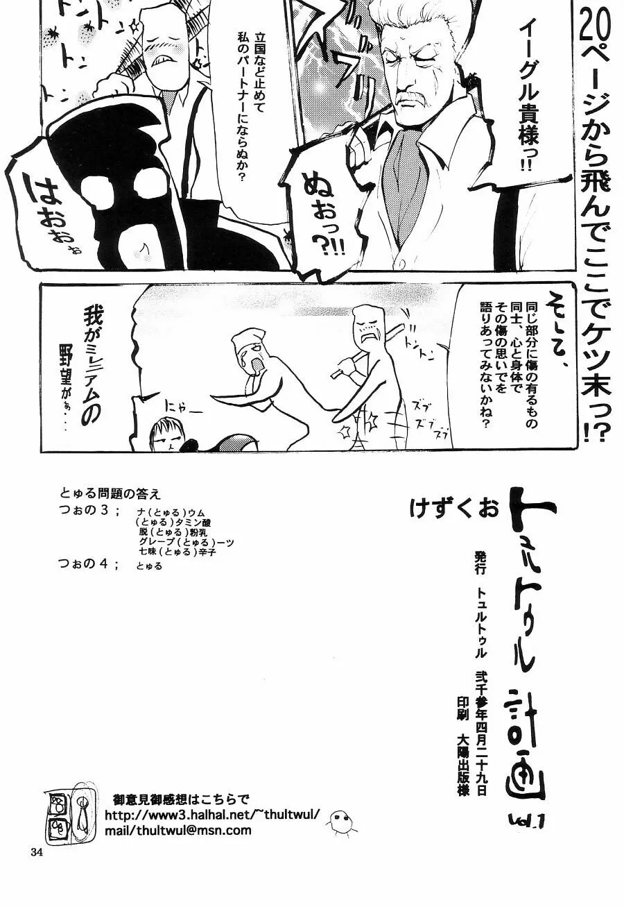 トュルトゥル計画 Vol. 1 34ページ