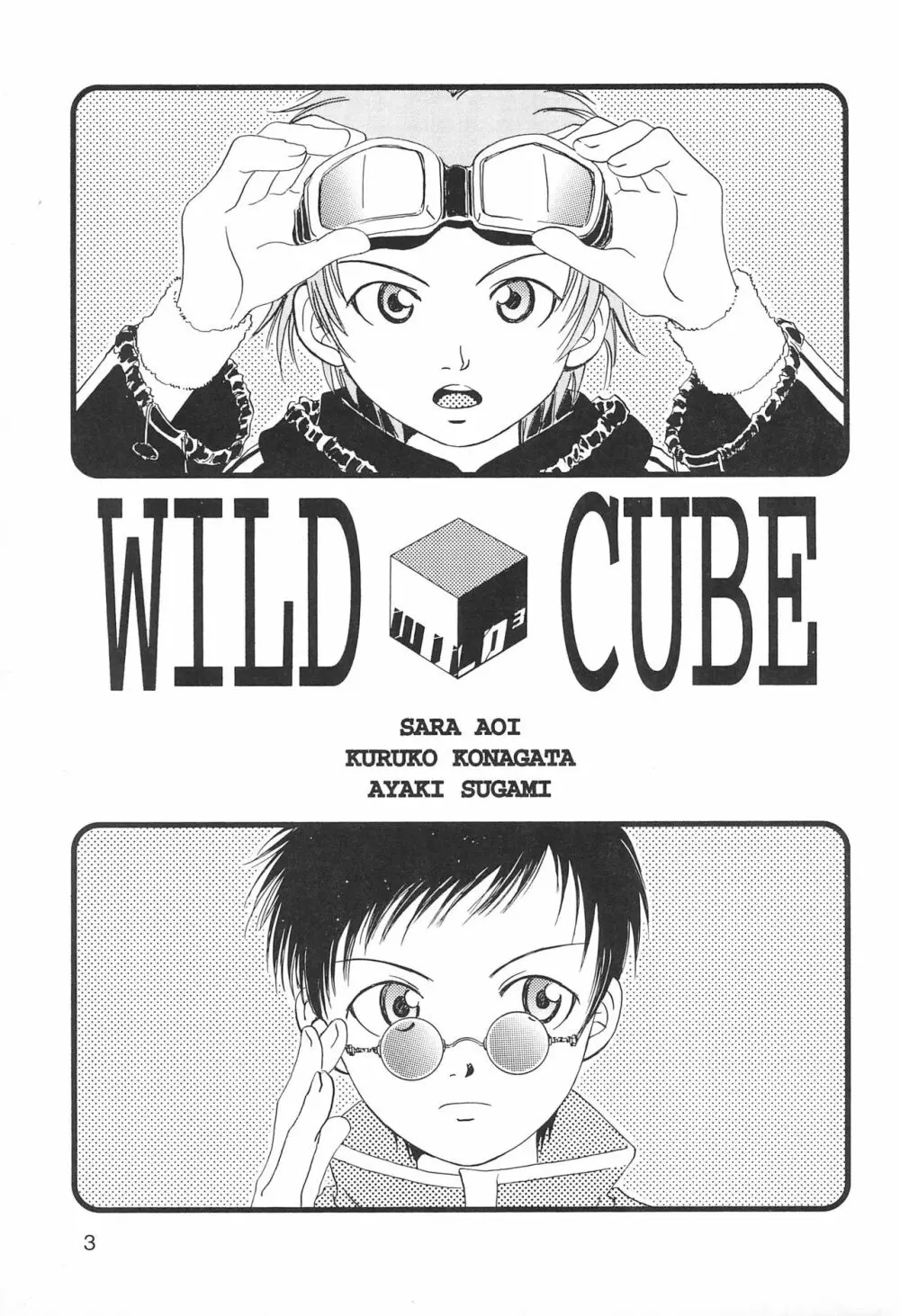 WILD CUBE 3ページ