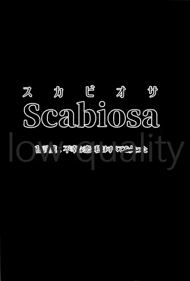 Scabiosa. 3ページ