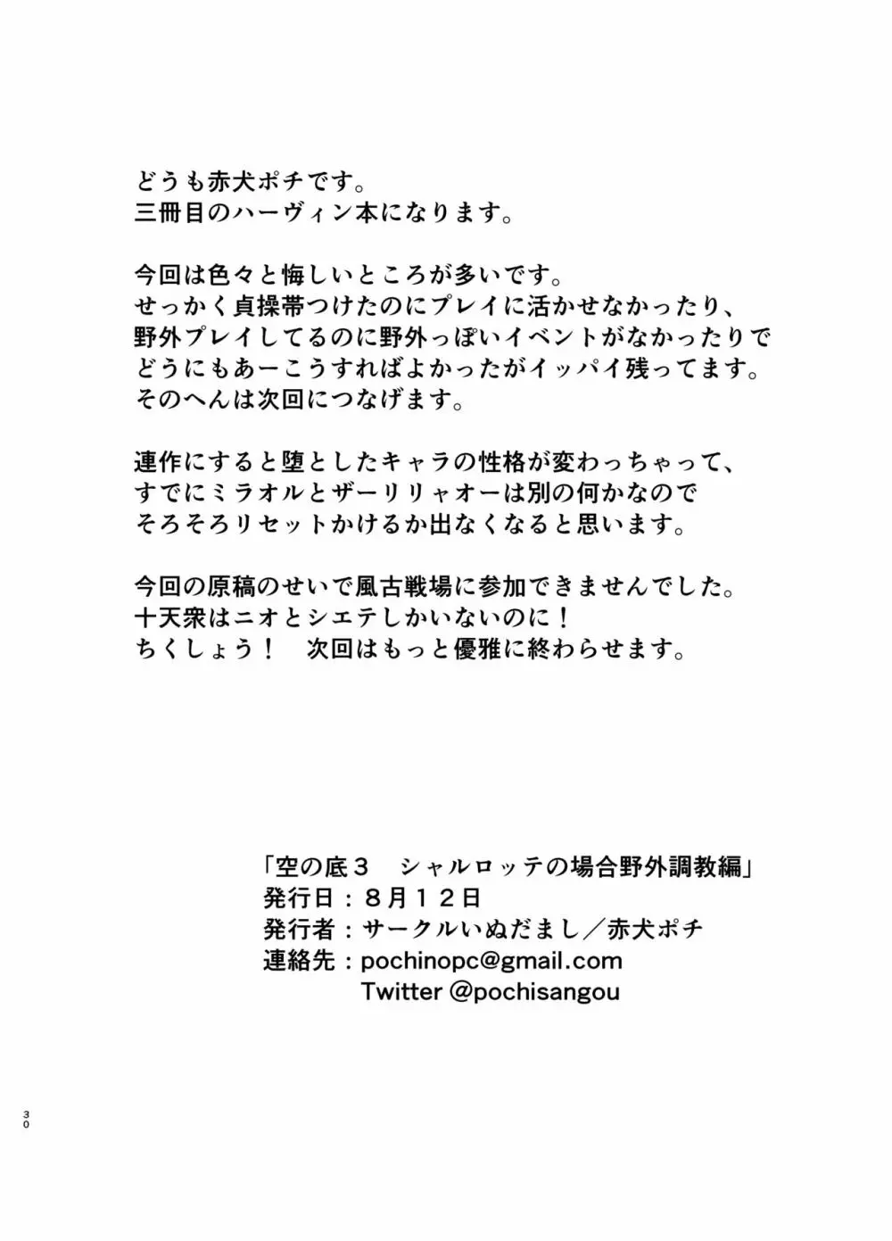 空の底3 シャルロッテの場合野外調教編 29ページ